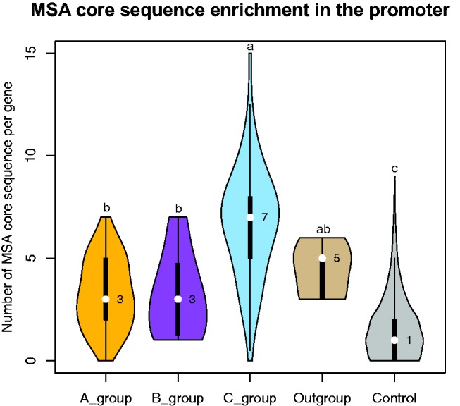 Fig. 7.—