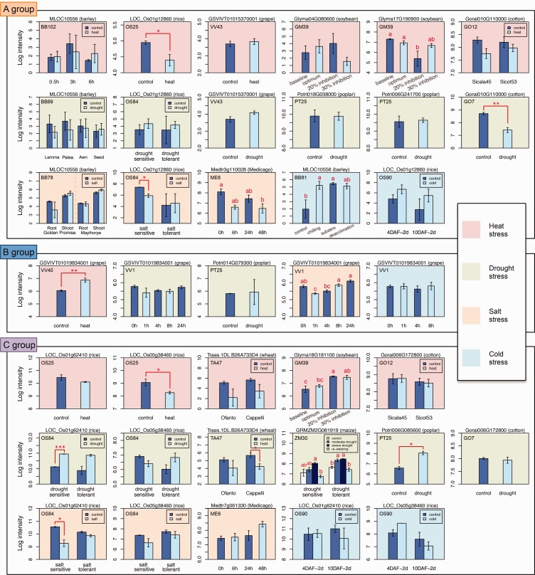 Fig. 9.—