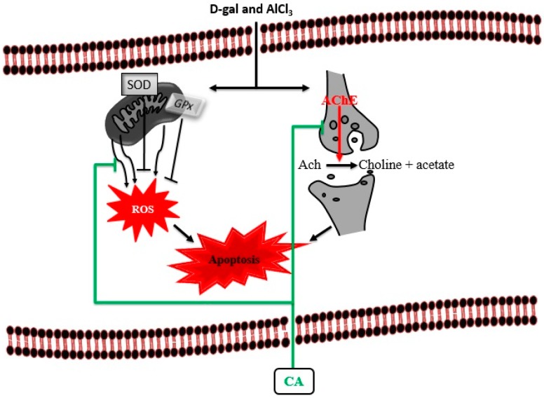 Figure 9