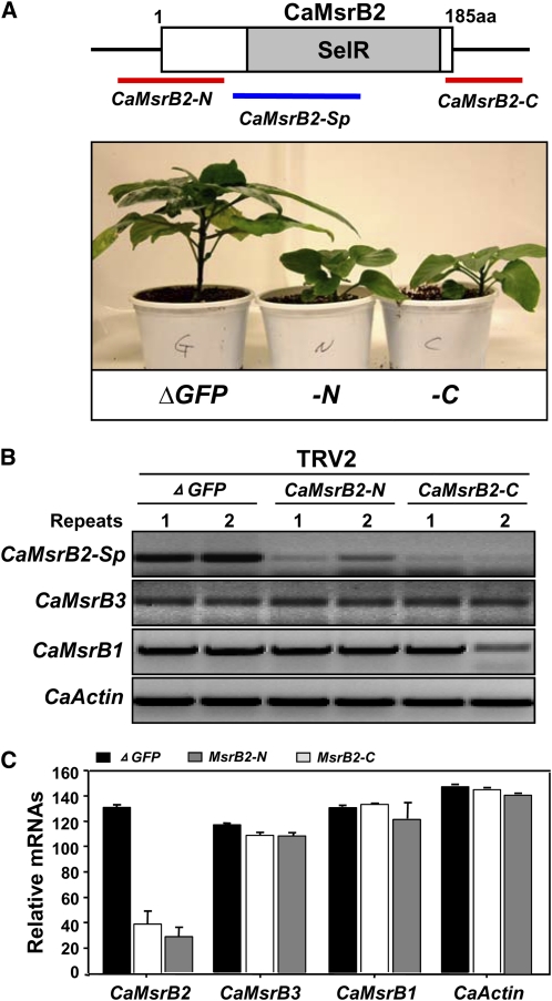 Figure 4.