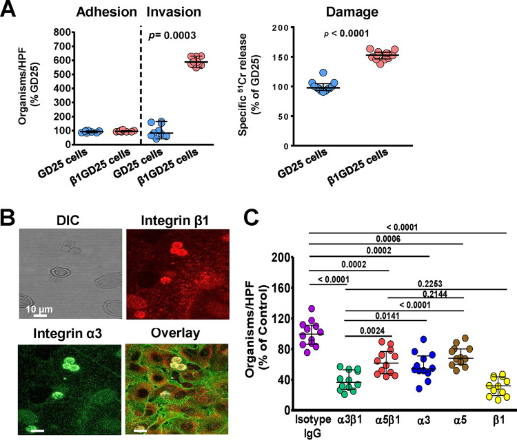 FIG 3