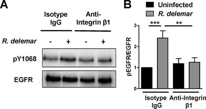 FIG 4