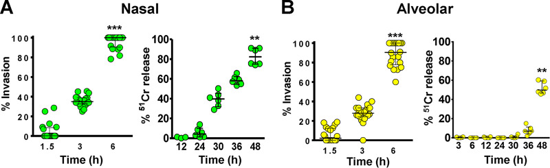 FIG 1