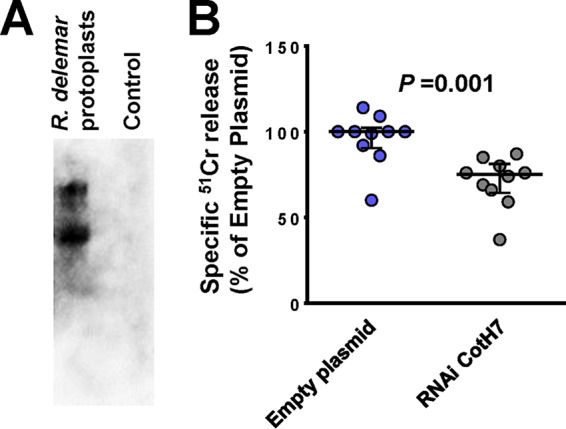 FIG 6