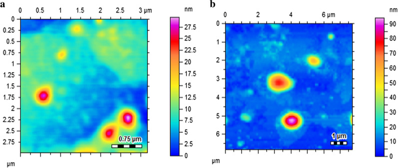 Fig. 4