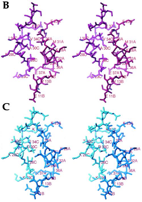 FIG.6.