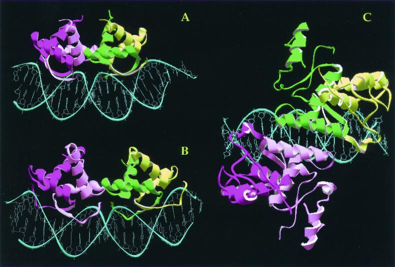 FIG. 3.