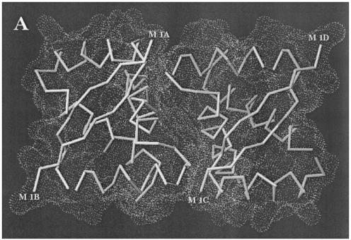 FIG.6.