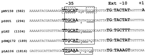 FIG. 7.