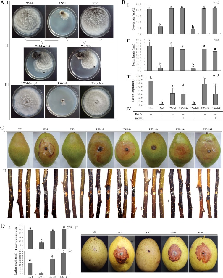 FIG 5