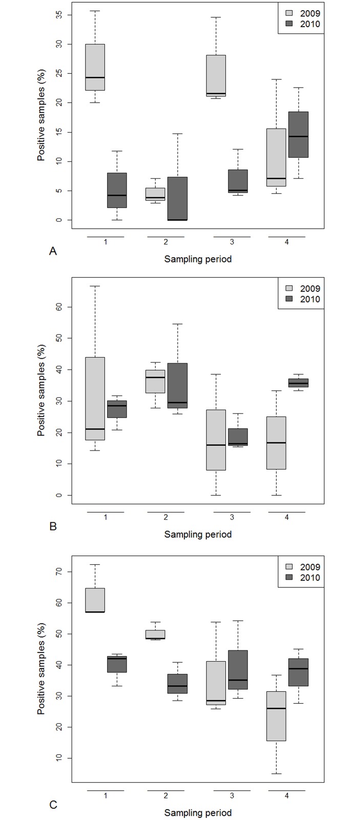 Fig 6