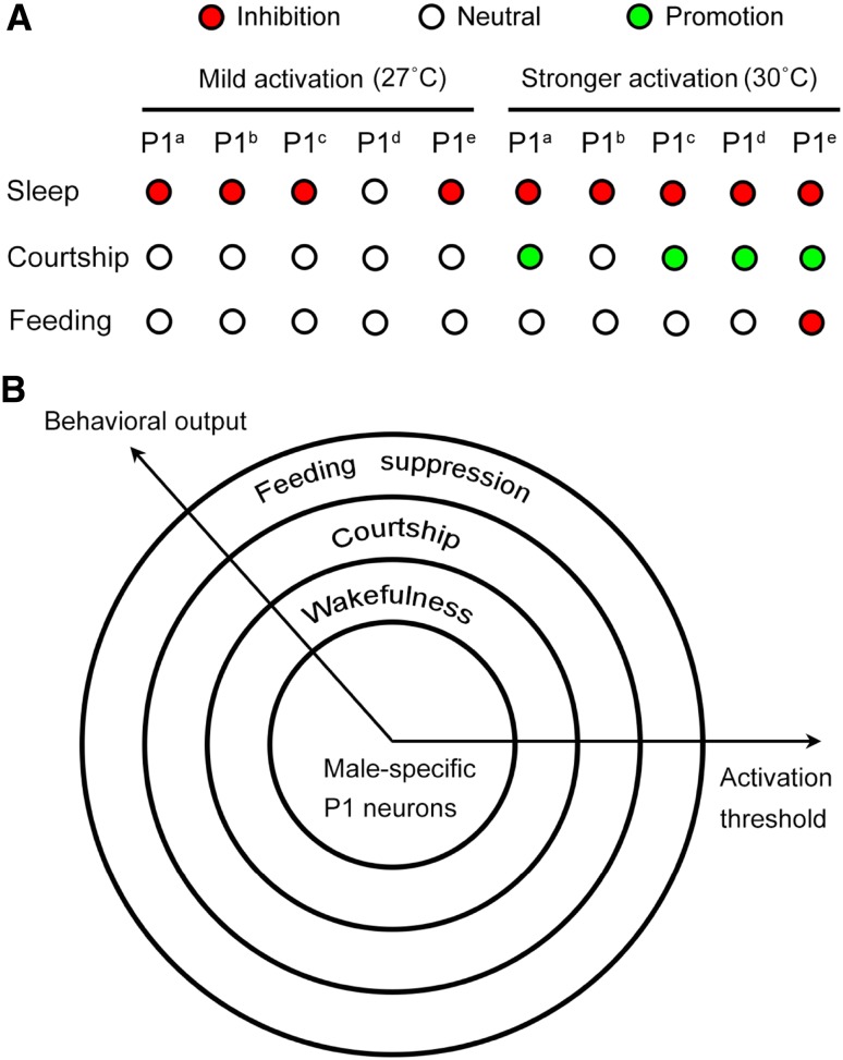 Fig. 4