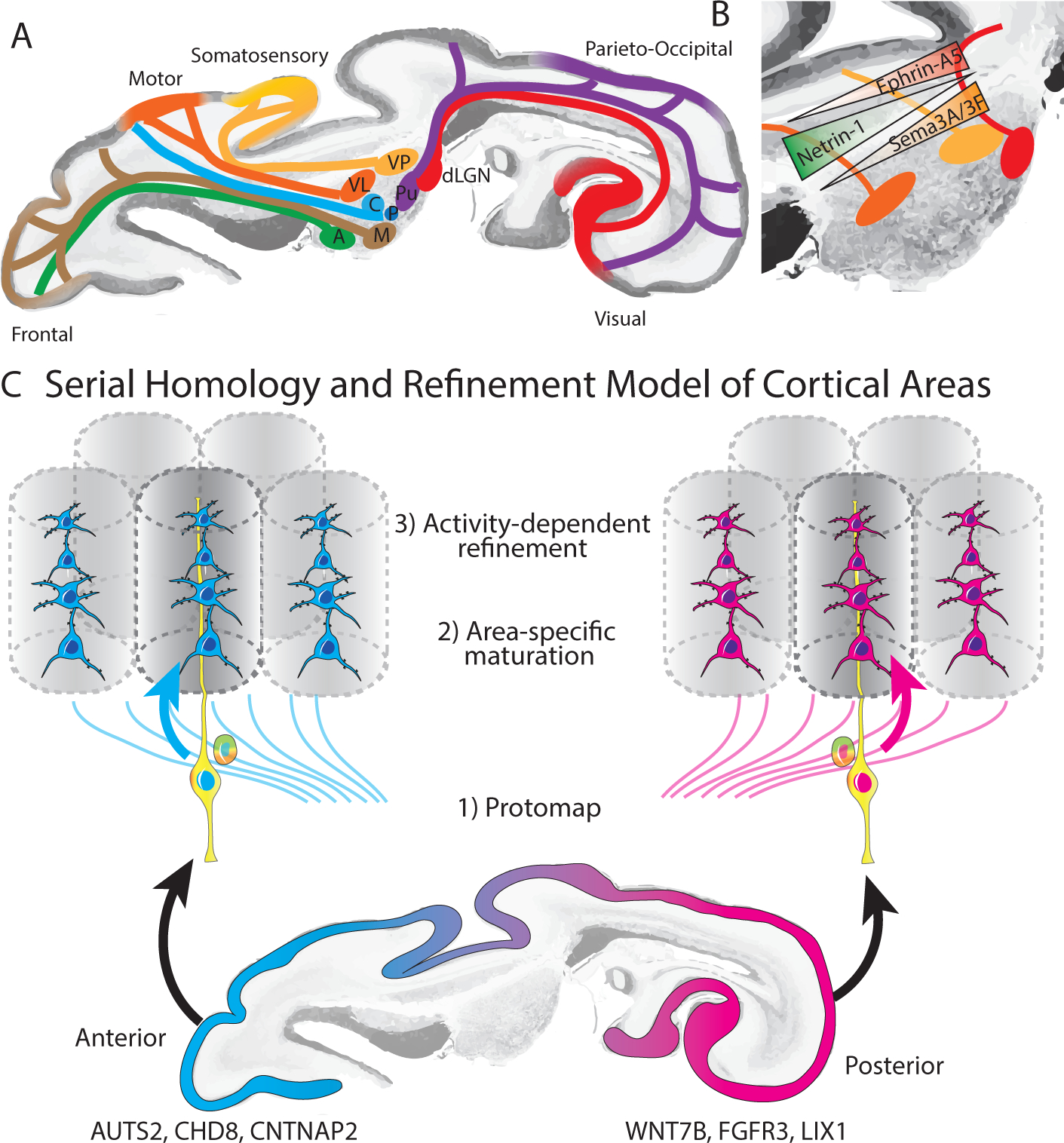 Figure 4: