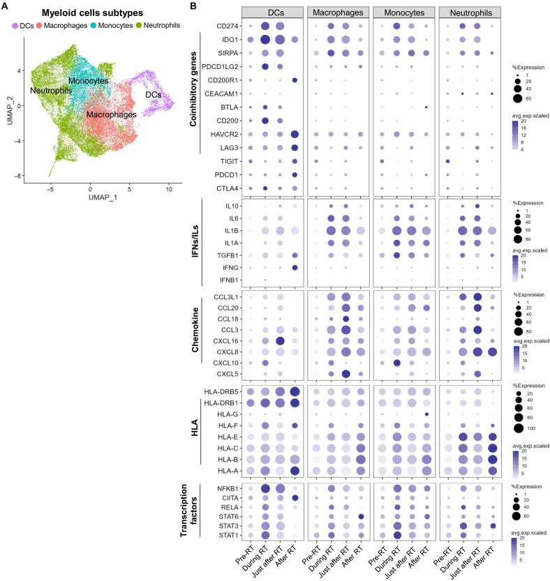 Fig. 4.