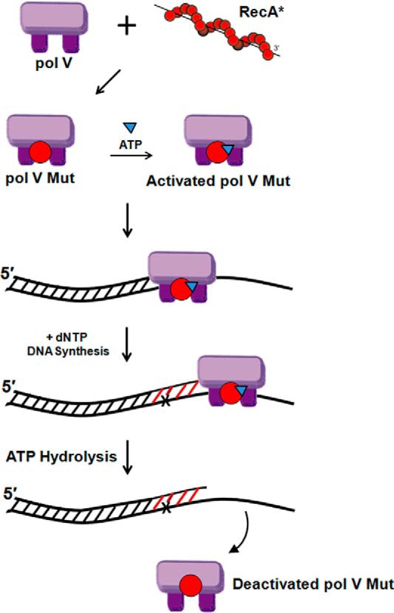 FIGURE 10.