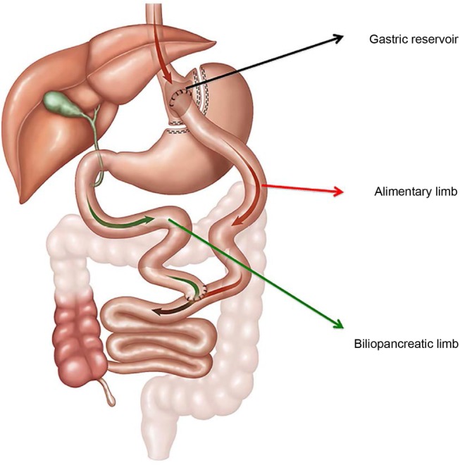 Figure 3