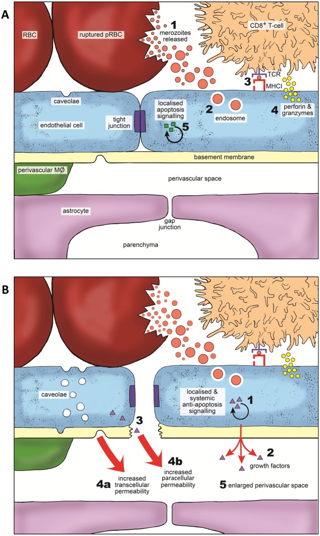 Fig 12