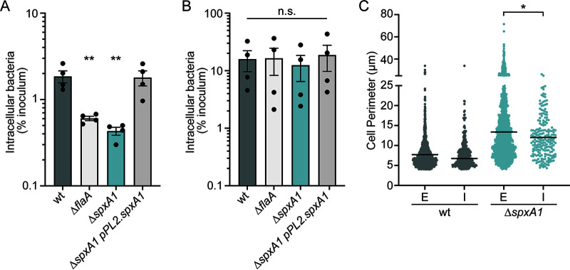 FIG 6