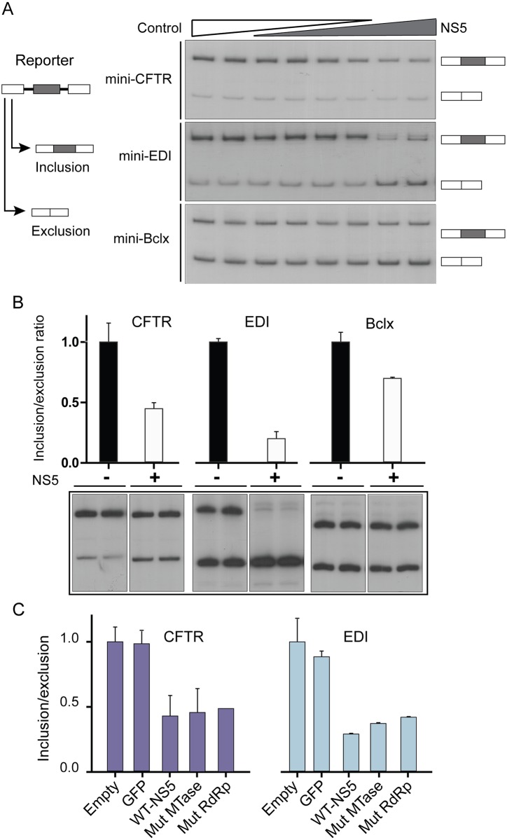 Fig 4