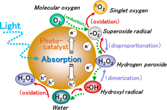 Figure 11