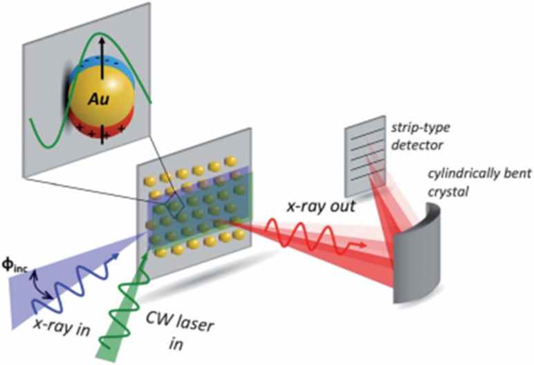 Figure 10