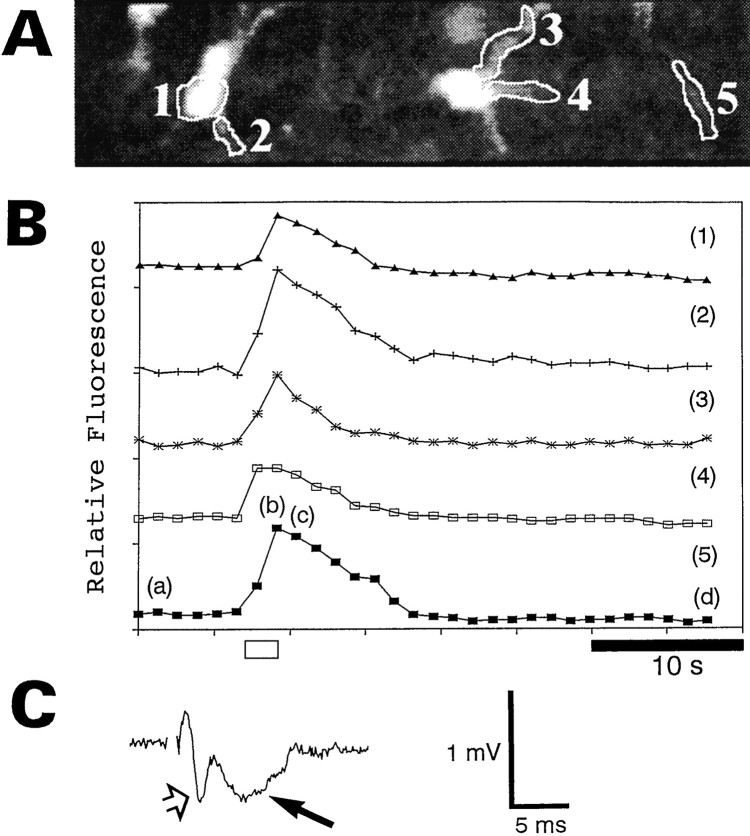 Fig. 3.