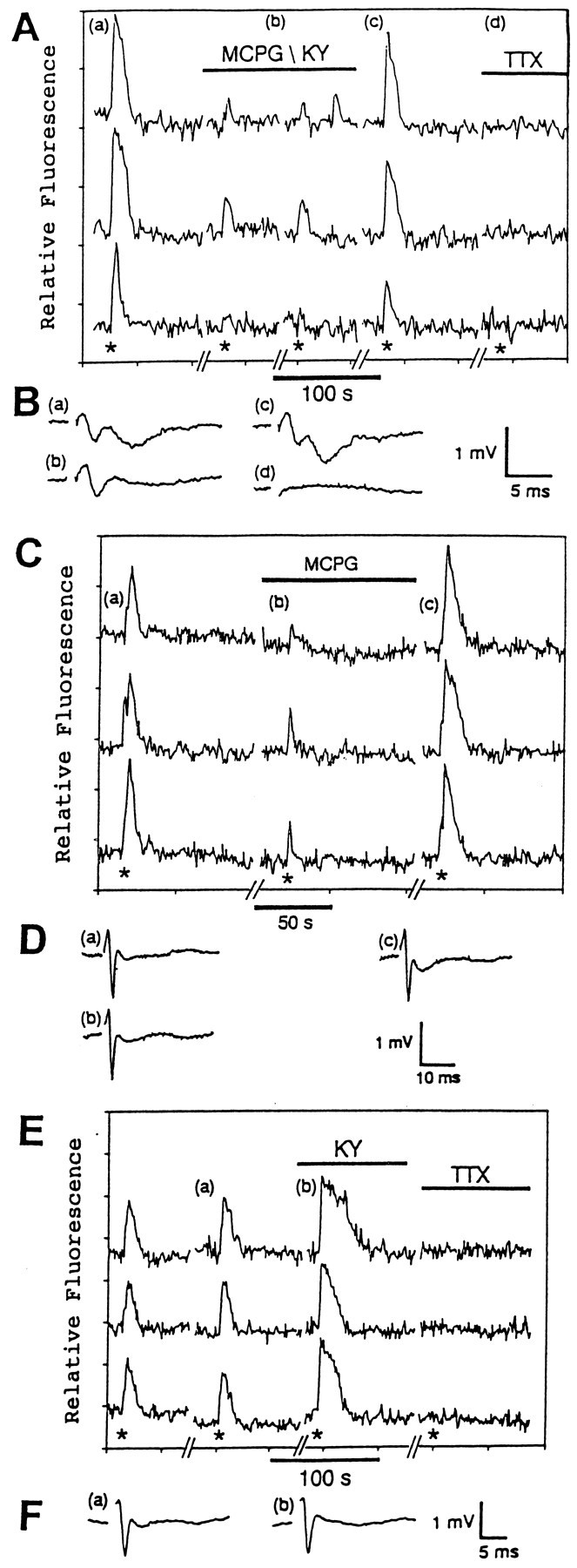 Fig. 5.