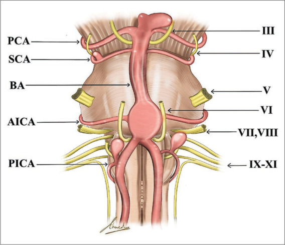 Figure 2: