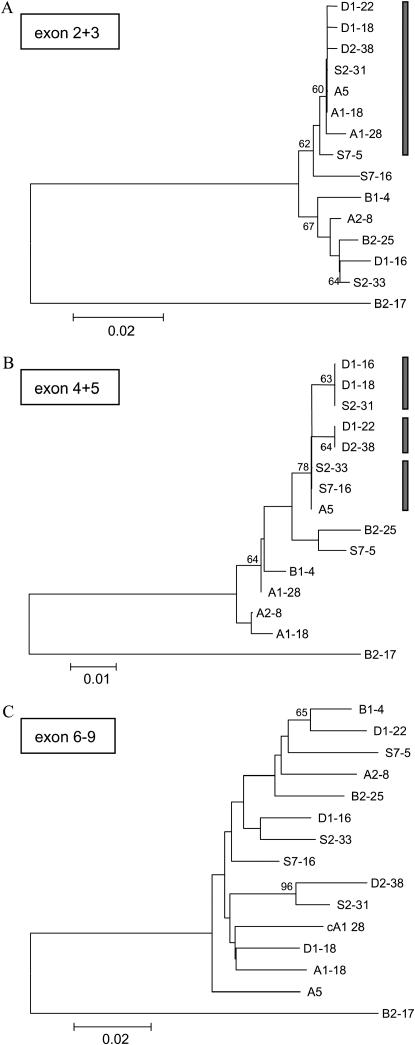 Figure 2.—