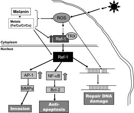 FIG. 7.