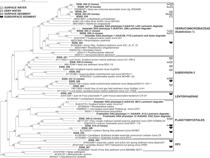 FIG 3