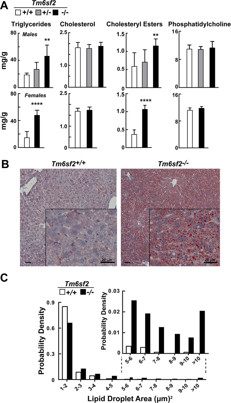 FIGURE 3.