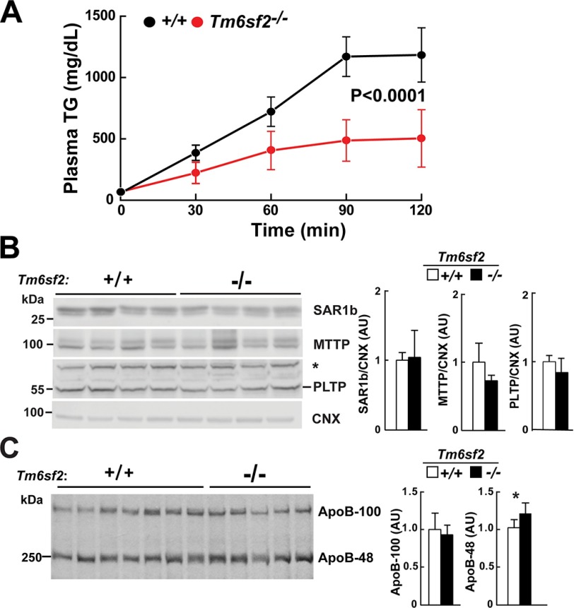 FIGURE 11.