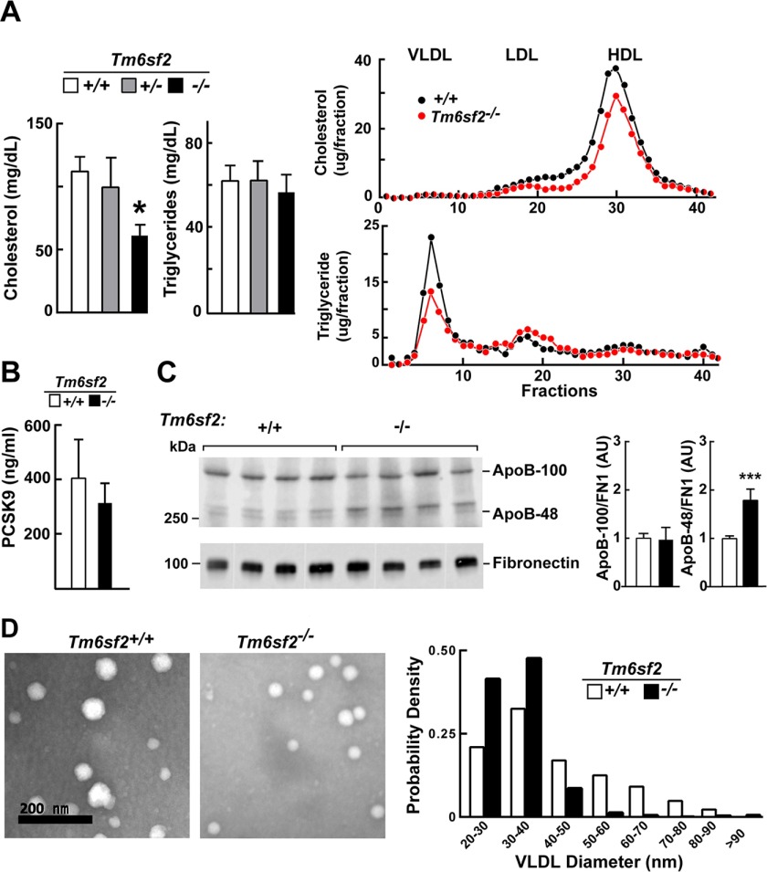 FIGURE 10.