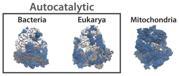 Extended Data Figure 4