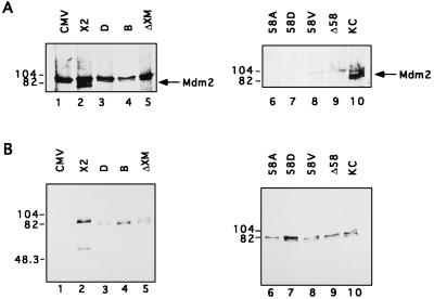 FIG. 5