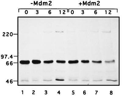 FIG. 8