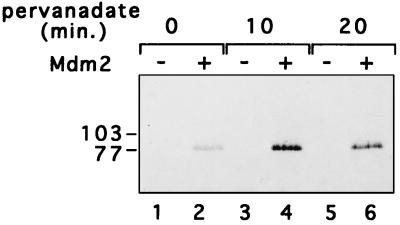 FIG. 10