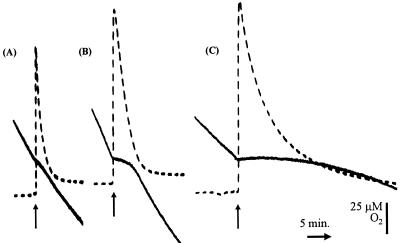 FIG. 5.