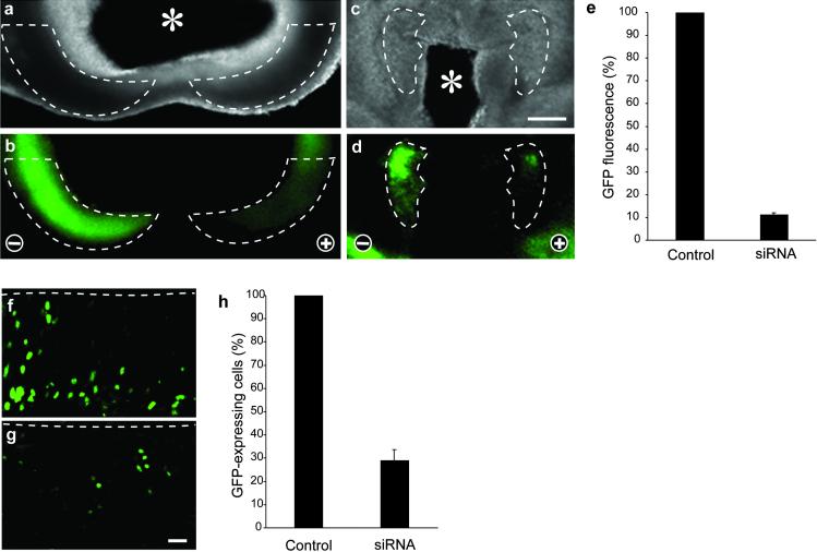 Fig 3.