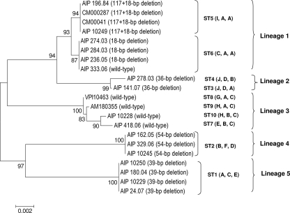 FIG. 2.