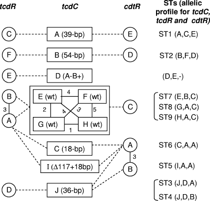 FIG. 3.