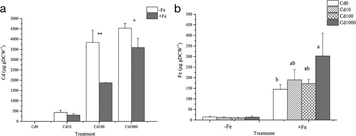 FIG 4