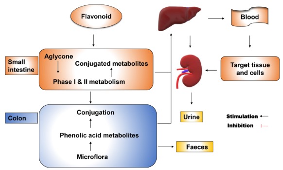 Fig. (2)