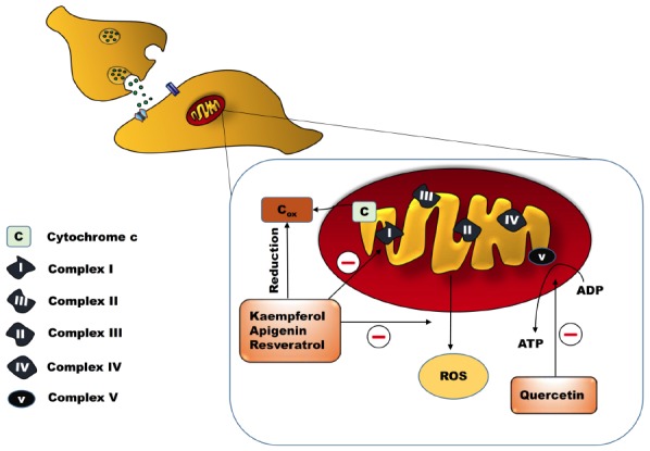 Fig. (1)