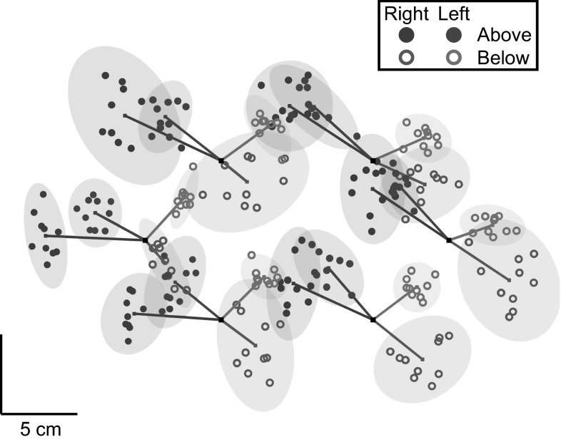 Fig. 2