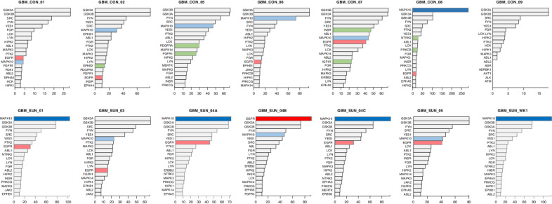 Figure 4. Ranking of top 20 active kinases in tumors from 11 patients with glioblastoma. Ranked kinase activities in 7 control and 4 sunitinib-treated tumors. For each tumor, bar graphs depict kinase ranking based on combined INKA scores of kinase- and substrate-centric analysis of tyrosine-phoshoproteomics (12). For patient SUN-04, three biological replicates have been analyzed. Top bars of potential hyperactive kinases are highlighted by dark coloring (MAPK10 blue, EGFR red). Note the very high INKA score for MAPK10 in patient CON-08. Light blue and red colored bars indicate lower ranked MAPK10 and EGFR kinase activities, respectively. Green colors highlight kinases with “outlier activity”, i.e., higher activity in one versus the remaining 10 tumors (see Supplementary Fig. S3). SUN, sunitinib-treated; CON, control.