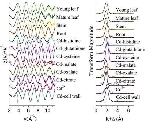 Figure 7.