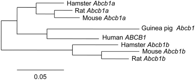 Figure 5