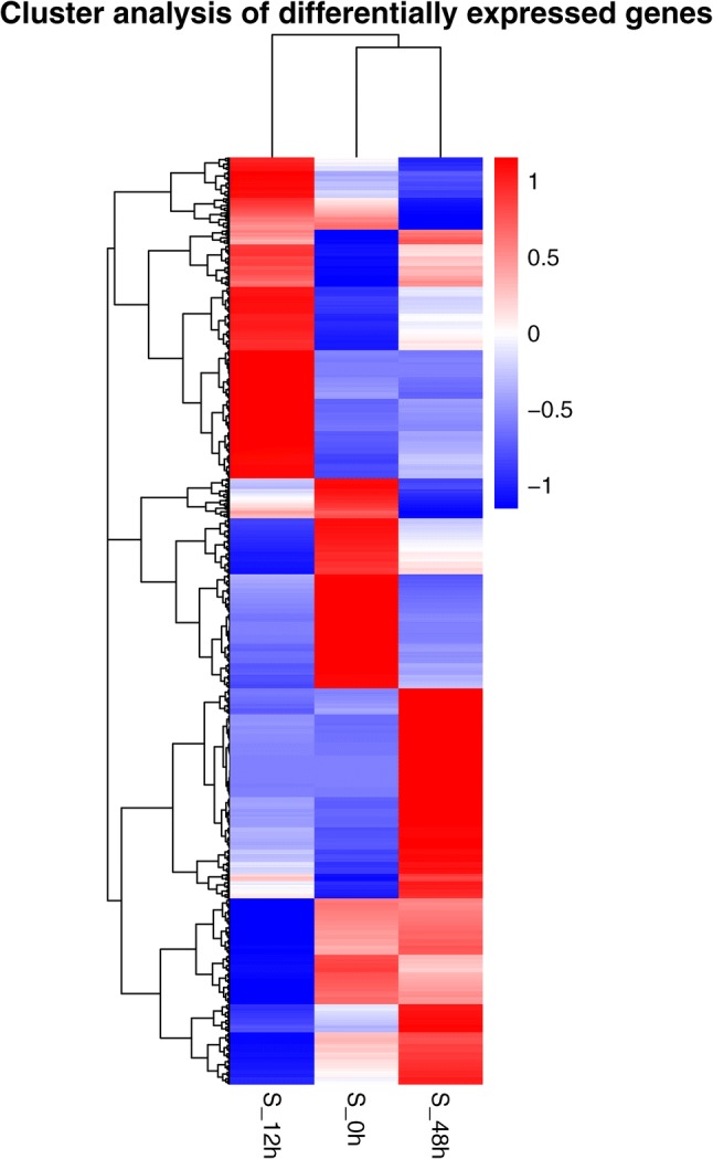 Fig. 3